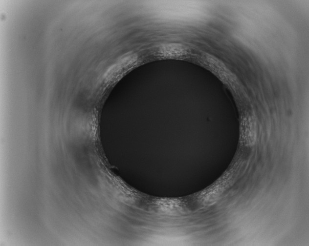 X0000087350762200705041830