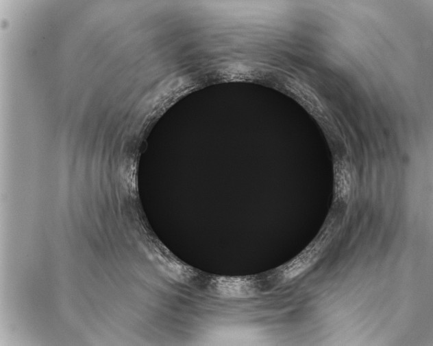 X0000087350766200705041830