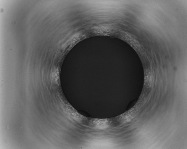 X0000087350767200705041830