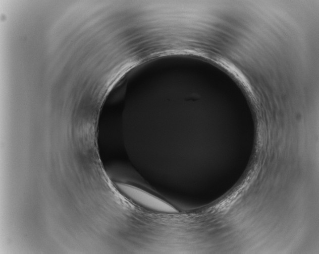 X0000087350809200705041828