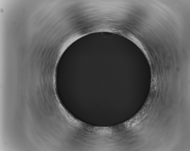 X0000087350811200705041828