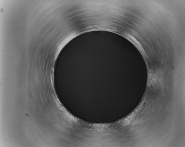 X0000087350812200705041828