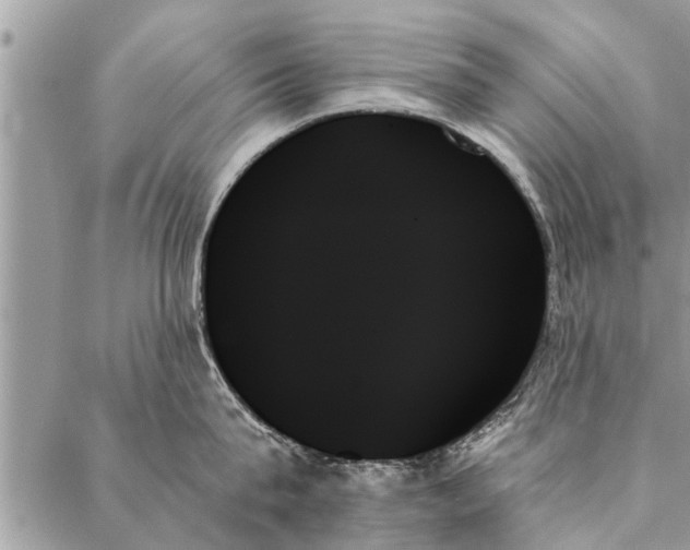 X0000087350815200705041828
