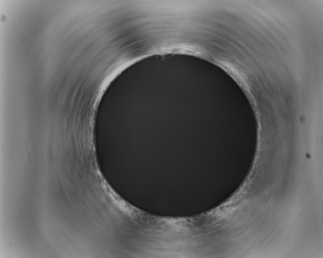 X0000087350816200705041828