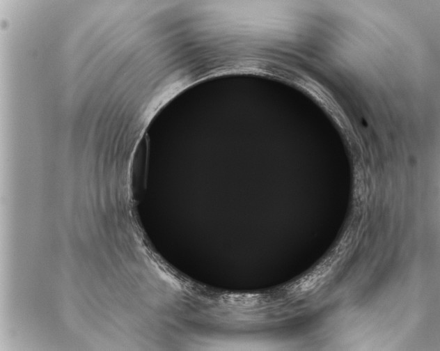 X0000087350858200705041828