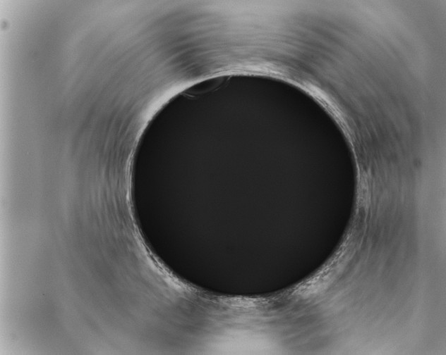 X0000087350862200705041828