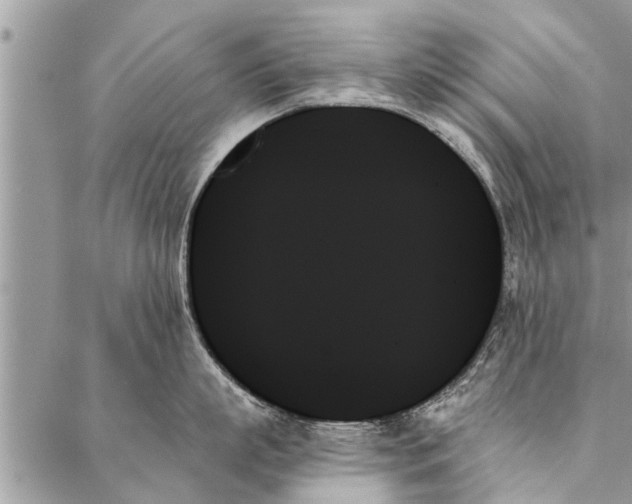 X0000087350863200705041828