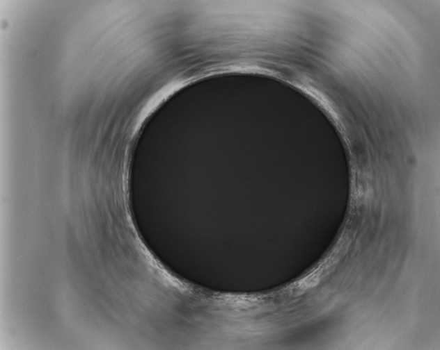 X0000087350910200705041827