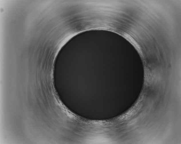 X0000087350956200705041827