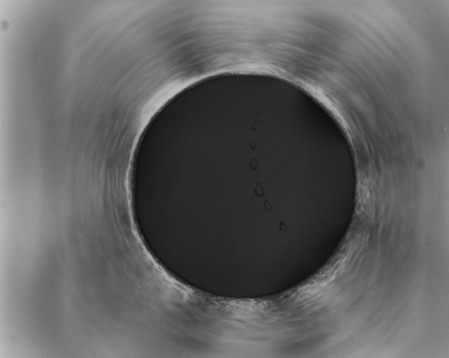 X0000087350959200705041827