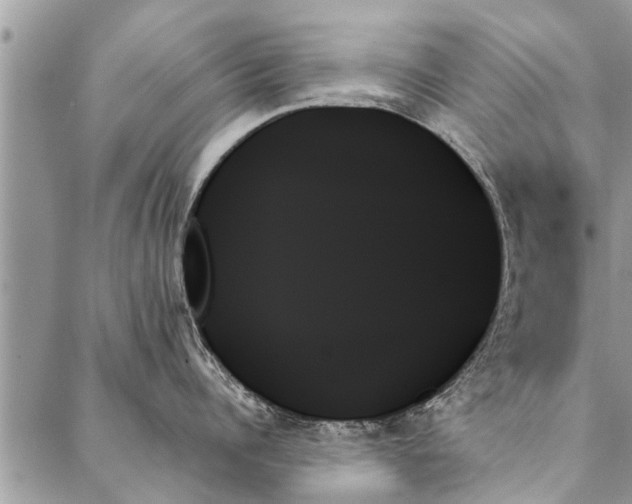 X0000087350960200705041827