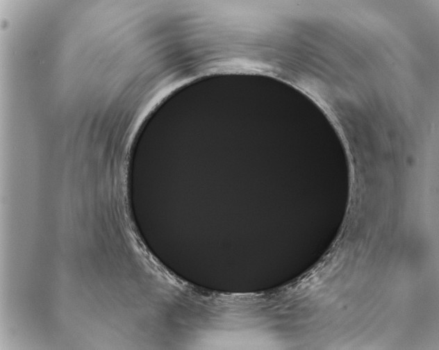 X0000087351008200705041825