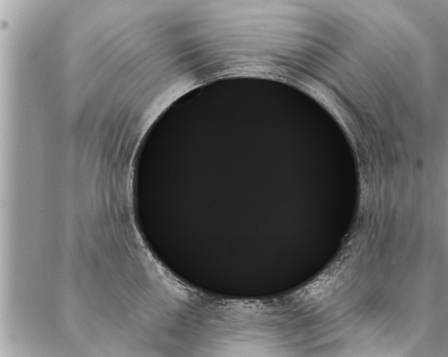 X0000087351050200705041825