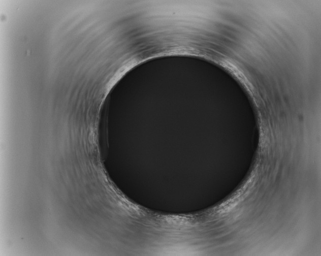 X0000087351097200705041824