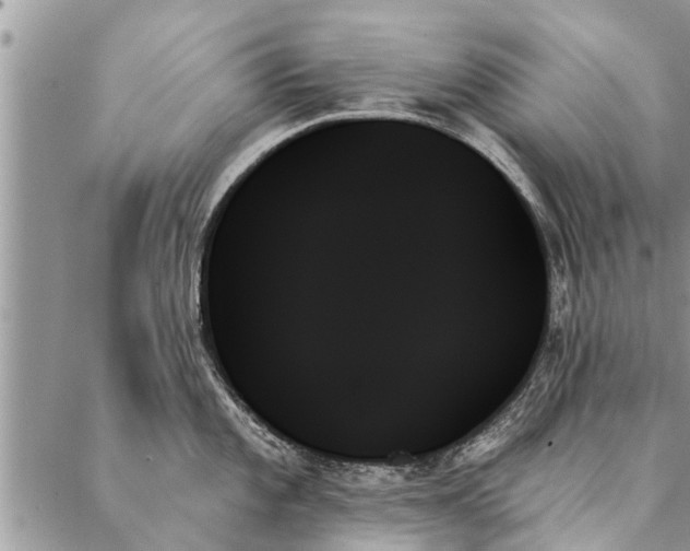 X0000087351101200705041824