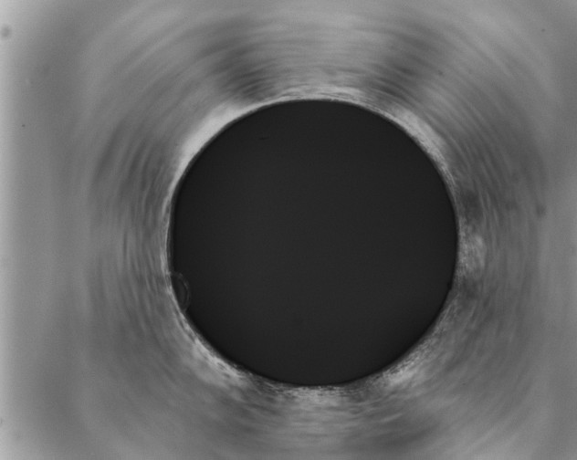 X0000087351102200705041824