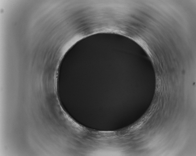 X0000087351151200705041824