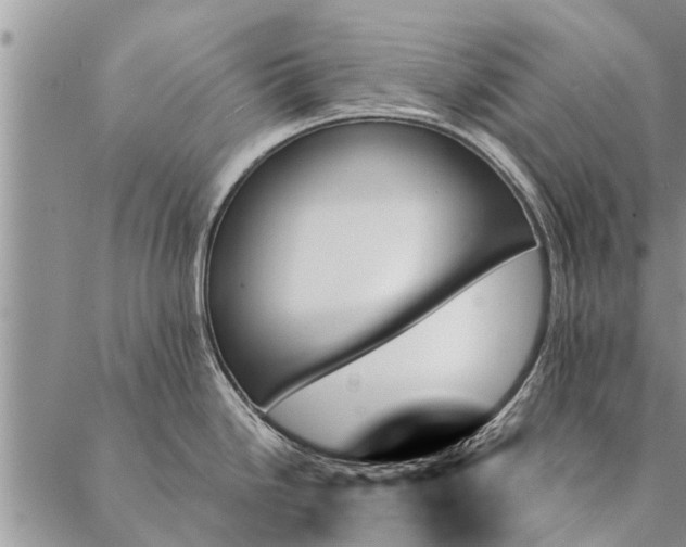 X0000087351246200705041822