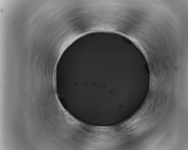 X0000087351295200705041821