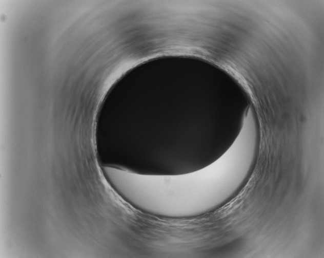 X0000087351342200705041820