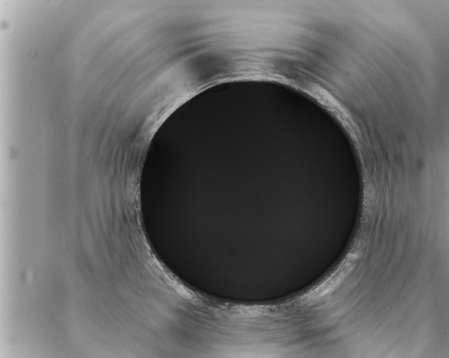 X0000087351385200705041819