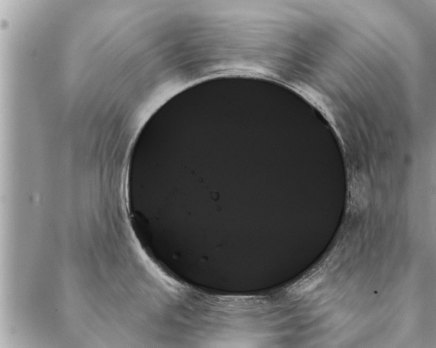 X0000087351391200705041819