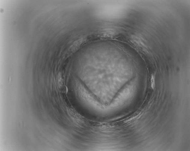 X0000087351395200705041818