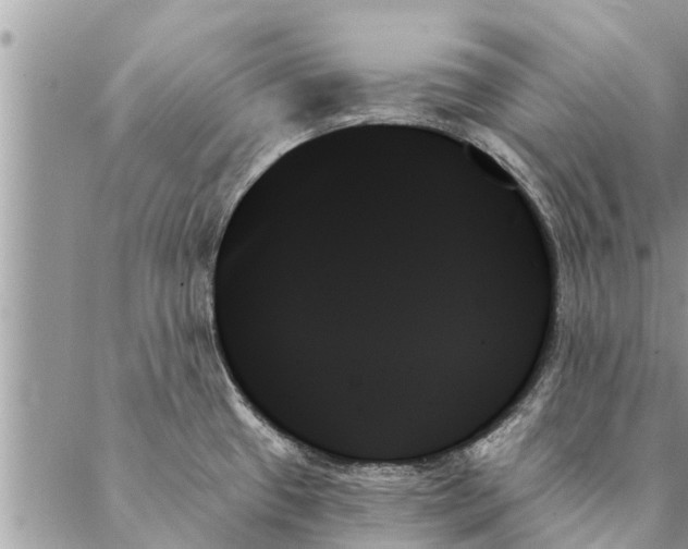 X0000087351433200705041819
