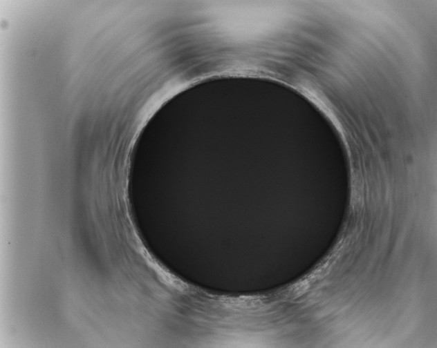 X0000087351437200705041819