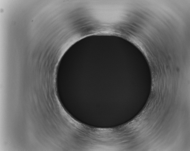 X0000087351483200705041817