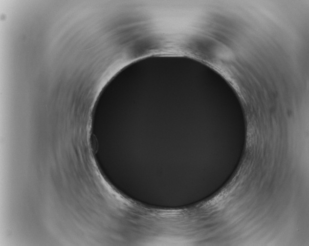 X0000087351484200705041817