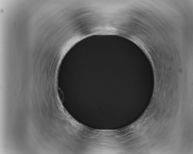 X0000087351488200705041817