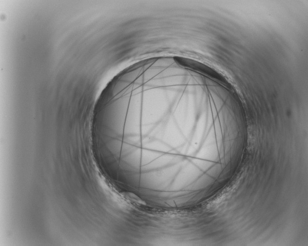 X0000087351530200705041817