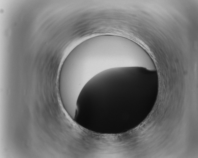 X0000087351536200705041817