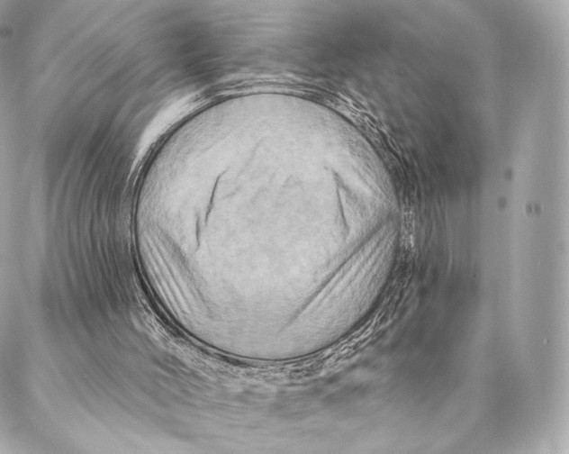 X0000087350004200705111631