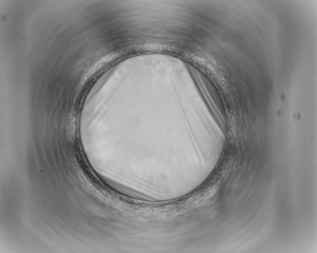 X0000087350016200705111631