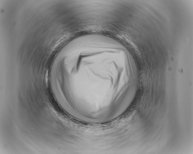 X0000087350024200705111631