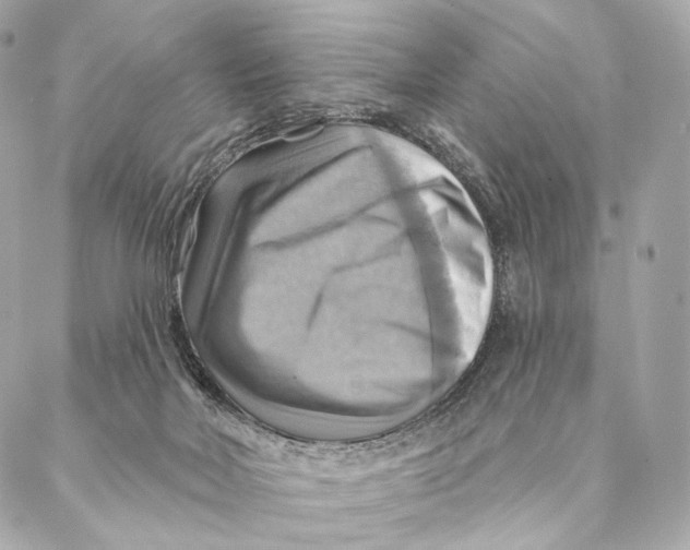X0000087350026200705111631