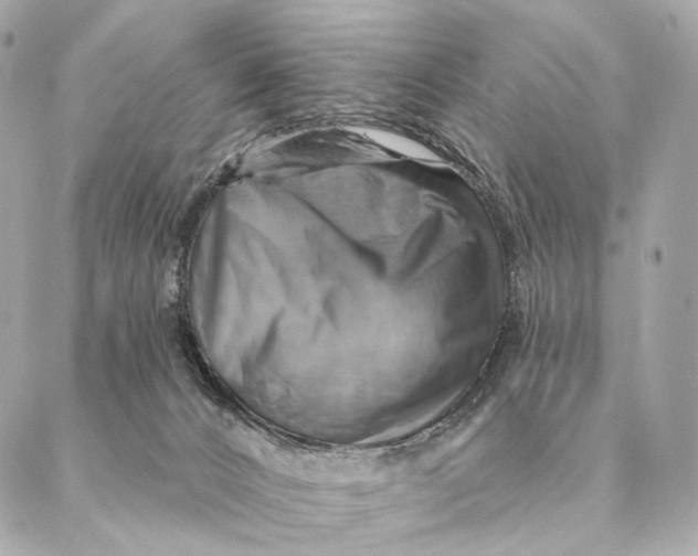 X0000087350032200705111631