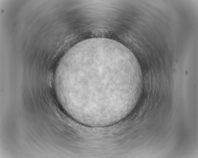 X0000087350038200705111631