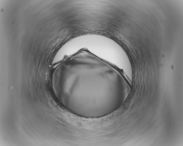 X0000087350039200705111631