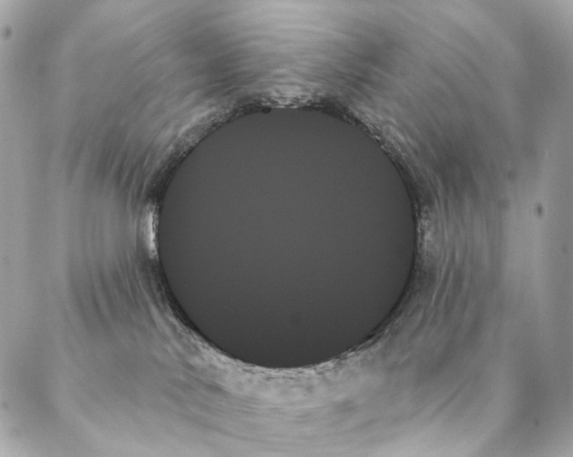 X0000087350042200705111631