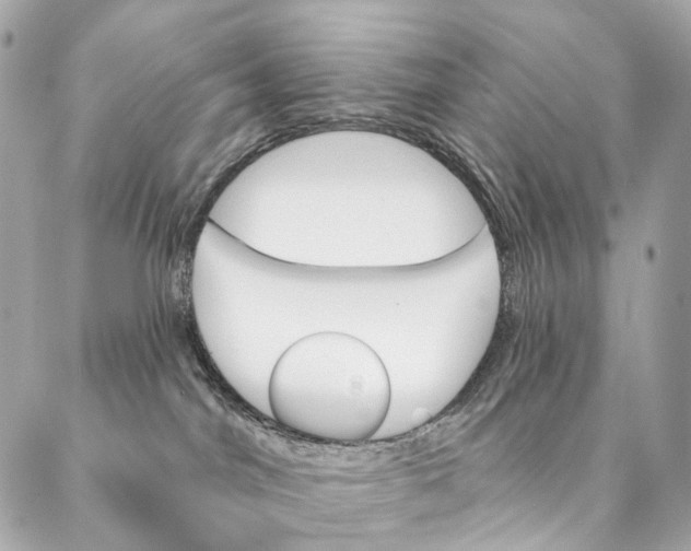 X0000087350044200705111631
