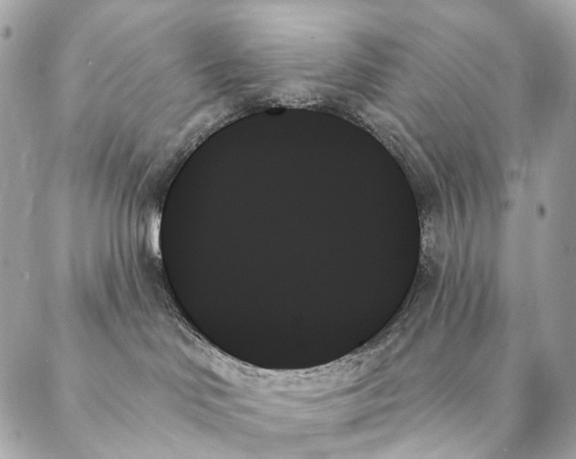 X0000087350046200705111631