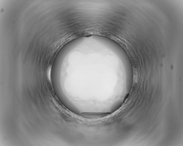 X0000087350047200705111631