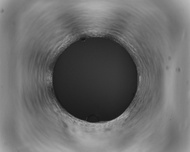 X0000087350048200705111631