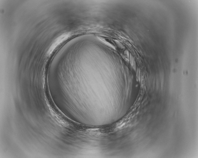 X0000087350054200705111630