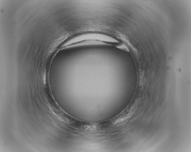 X0000087350068200705111630