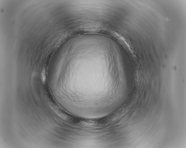 X0000087350069200705111630