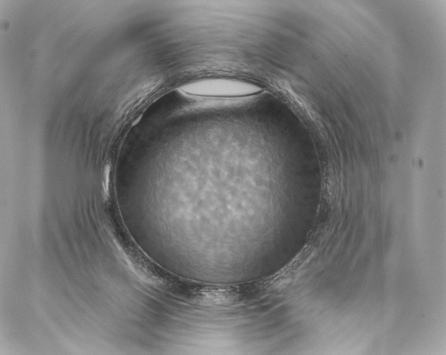 X0000087350070200705111630